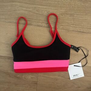 NWT Beach Riot Eva Top in Sold Out Color